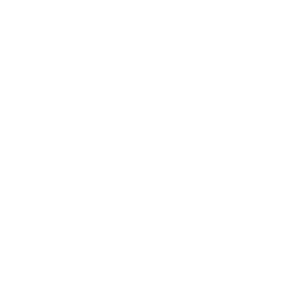 data insight